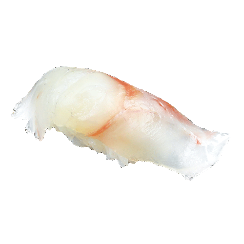 Suzuki Nigiri