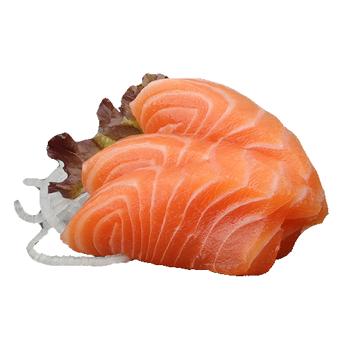 Salmon Sashimi